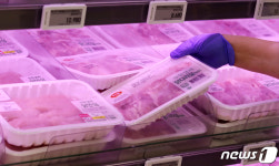 내일이 초복…농식품부 닭고기 공급·가격 안정세