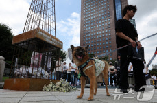 오늘은 초복 도살은 이제 그만