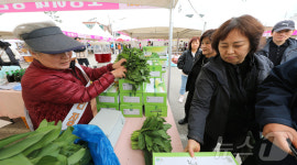 초사누리영농 | "지역농산물 직거래하세요"… 인제군 '에누리장터' 20~21일 개최