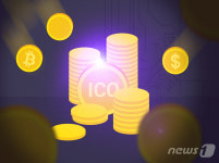 배용준 코인 퀸비코인 발행업자와 공모한 40대 남성 구속