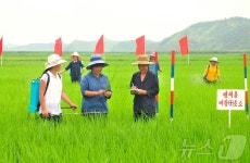 북한 토산군 읍농장…농작물 과학적 비배관리 집중