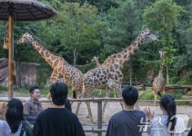 에버랜드, 여름방학 동물·생태 탐험 프로그램 선보여