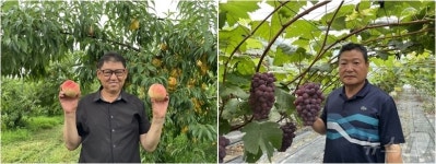 옥천군 포도왕 이상인 씨·복숭아왕 장현철 씨 선정