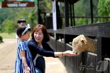 케니와 체험학습…켄싱턴 평창, 키즈 서머 캠프 패키지 출시