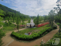 대구 두류공원·달성공원 도시숲 아름다운 도시숲 50선 선정