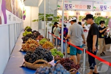 향수옥천 포도·복숭아 축제 이름값…8억 원 판매