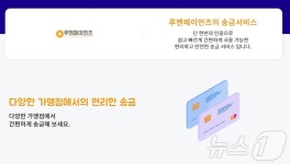 KSNET-N루멘페이먼츠 | 정산지연 '루멘페이먼츠' 계열사 대규모 적자…'자금 유용' 의혹