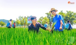 北, 농업 일꾼들에게 농작물 비배관리 중요성 부각…다수확 담보