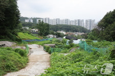 서울 그린벨트 12년 만에 푼다…수서·김포공항·내곡동 유력