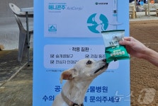유한양행 애니콘주·와이즈벳으로 반려동물 건강 관리하세요
