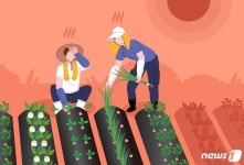공주 유구 36도 기록…충남서 온열질환 신고 4건 접수