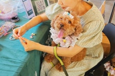 금요일엔 스타벅스로…동행과 함께 유기견과 놀다가시개 행사