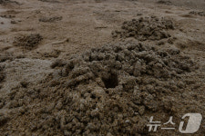 백사장에 사는 조각가는 누구