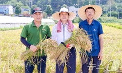 성주군 첫 모내기 합니다