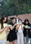 사랑스러운 사랑새