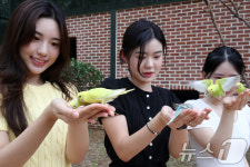 사랑새, 예쁘죠?