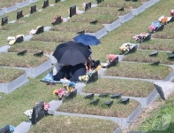 강릉시 추석 미리 성묘하기로 여유로운 연휴 보내세요