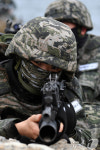 해안 두보 확보