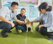 검역탐지견 가족 기다려요…농림축산검역본부, 박람회서 입양 홍보