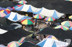 추석 앞두고 분주한 모란시장