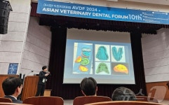반려동물 구강 치료 관심 ↑…제10회 아시아수의치과포럼 열려