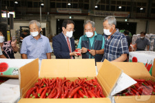 고품질 인증에도 제값 못 받는 단양 단고을 고추