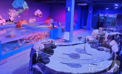 해양수산과학관·섬진강어류생태관, 추석 연휴 정상 개관