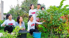 北 황해북도 공로자 휴양소 올해 약나무 첫 수확