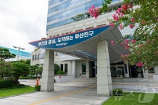 부산진구, 10월17일 백양산 달빛 걷기대회 개최
