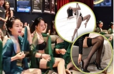 주부 상대 섹스 어필 훈련 캠프 수강료 이틀에 56만원