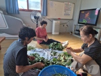 자식에 손 안벌려 좋아 월 15만원 농촌기본소득 연천의 실험