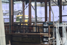 경기 여주 한우농장서 럼피스킨 발생