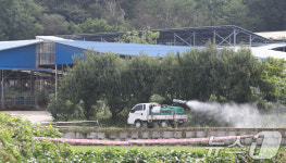 여주 한우농장서 럼피스킨 발생