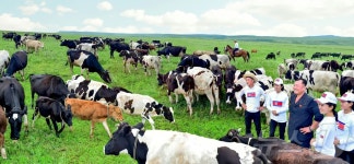 北 농포젖소목장 책임감 있게 어린이들에 유제품 공급