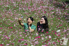 가을 향기 가득한 대전 장동만남공원