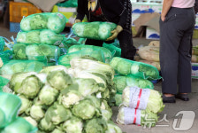 1포기 2만원 金배추에 손 덜덜…내주 중국산 배추 풀린다