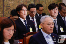 국회 출석한 홍명보 감독