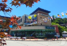 강아지와 인제서 꽃구경 어때?…라이프위드도그, 숙박 이벤트