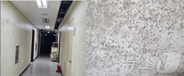 말로만 軍 간부 복무여건 개선?…곰팡이 천국으로 변한 육사· 정보학교 생활관