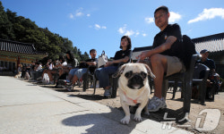 반려견과 함께하는 선명상 축제