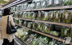 상추 가격 급등에 망설여지는 손길