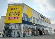 올리브영 품는 전자랜드…위기의 가전양판점, 활로 모색 안간힘