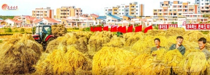 올해 4만1600여 주택 건설…가을걷이도 88% 계선 돌파[데일리 북한]