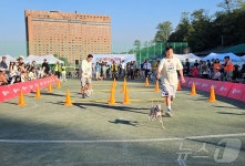 강아지와 신나는 하루…2024 중구 해피투개더 반려견 축제 열려