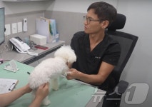 반려동물은 가족…생명 살리려는 노력, 수의사 의무[펫피플]