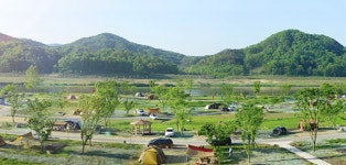 물에 잠겼던 세종 합강캠핑장 11월 재개장…고정형 카라반 철거