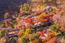 서울 40분 거리 단풍축제…경기 광주 화담숲에서 열린다