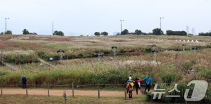 억새축제 앞둔 하늘공원