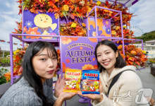 에버랜드 어텀 페스타