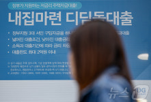 디딤돌 한도제한 잠정 연기